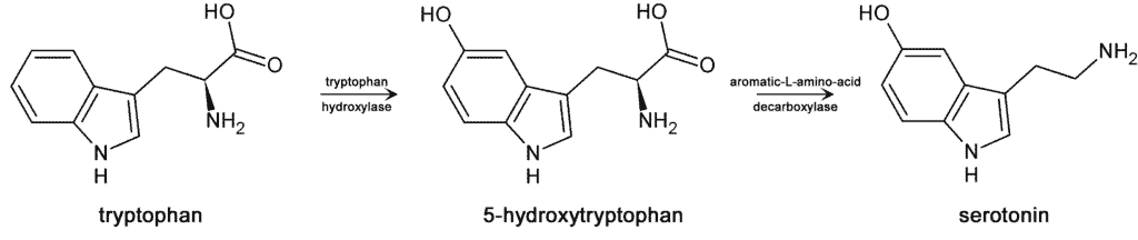 5-htp,5-htp side effects,what is 5-htp,5-htp reviews,5-htp benefits,5-htp supplement,natrol 5-htp,5-htp dosage,5-htp for sleep,5-htp amazon,5-htp for depression,htp-5,5-htp anxiety,benefits of 5-htp,5-htp and adderall