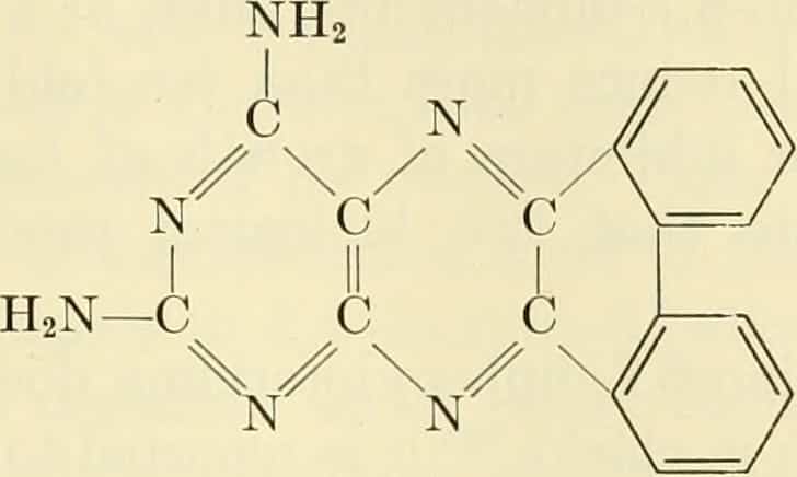 nootropic vitamins, vitamin b