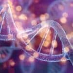 DNA Methylation, nootropics