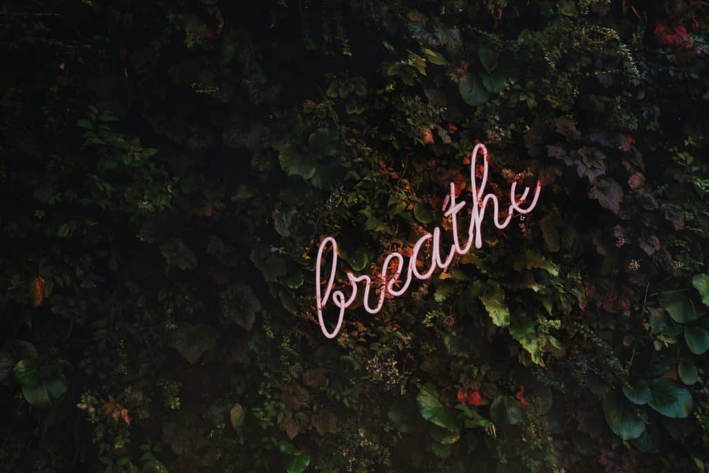 breath and nootropics