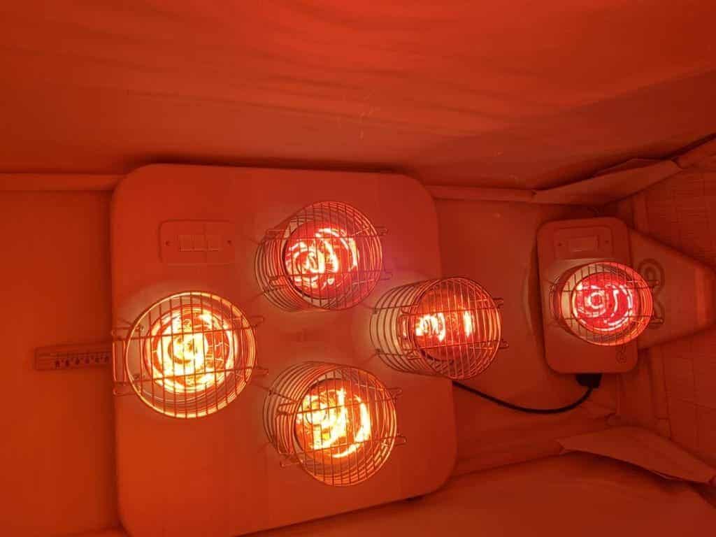 Red Light Therapy For Mental Health