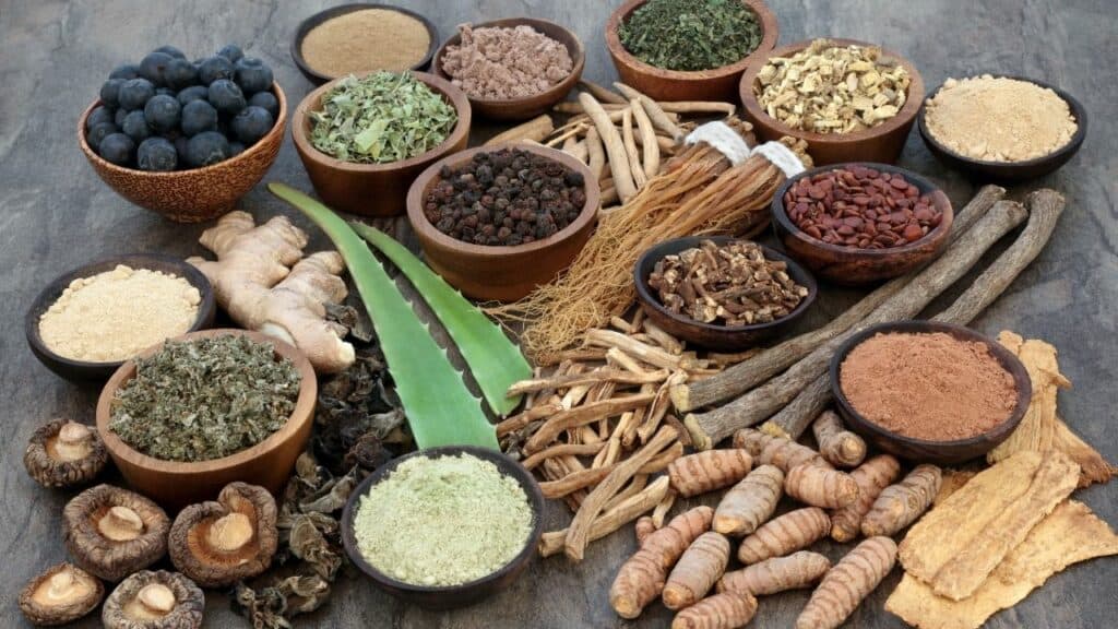 Proven Benefits of Adaptogens