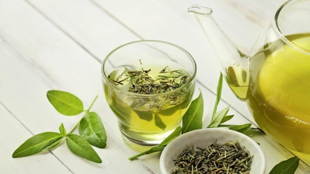 Top 5 Best Nootropic Drinks For Energy, Focus, and Productivity