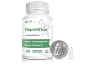 Vinpocetine by Pure Nootropics