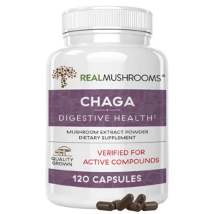 Chaga