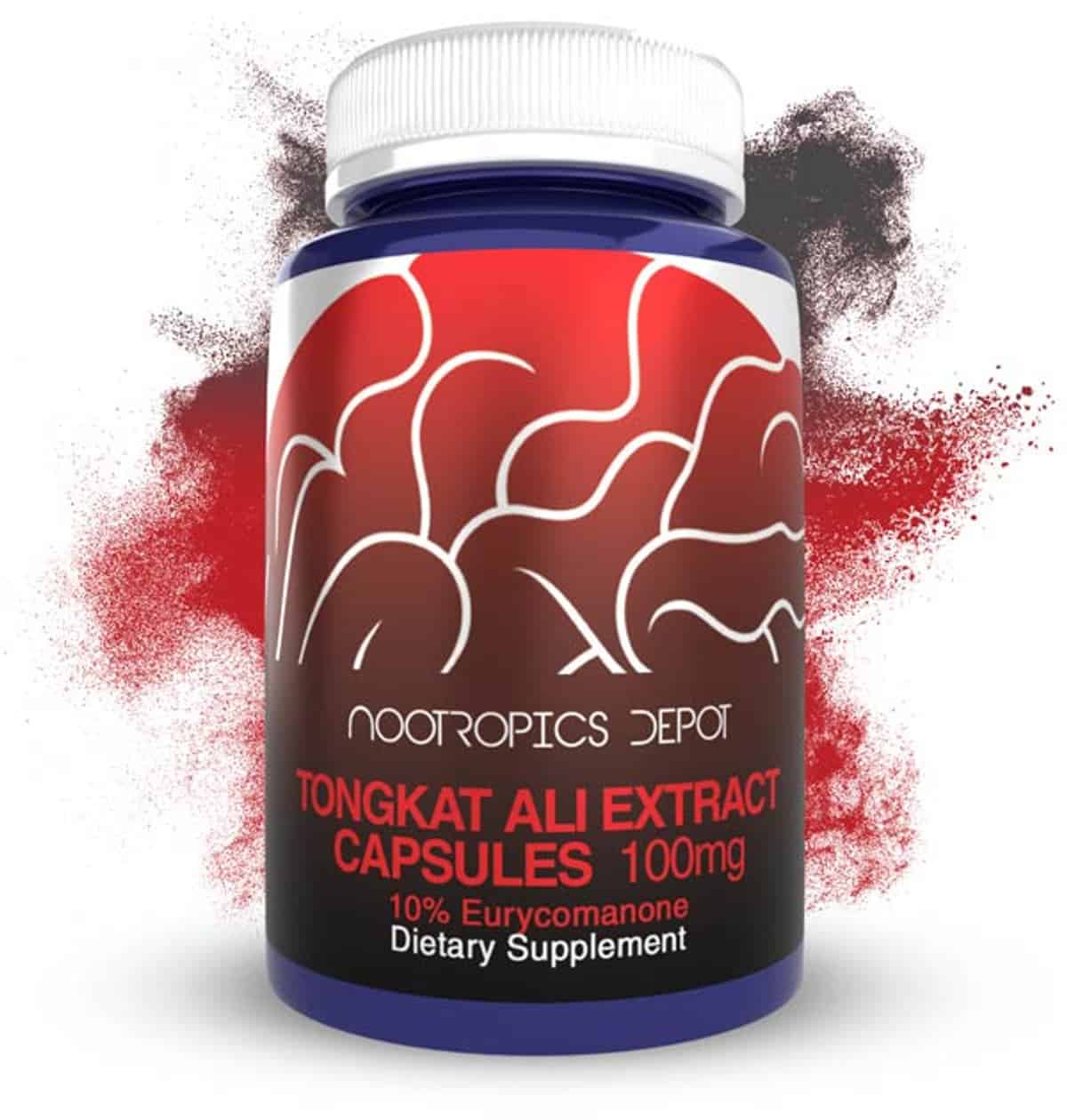 Tongkat Ali - Nootropics Depot