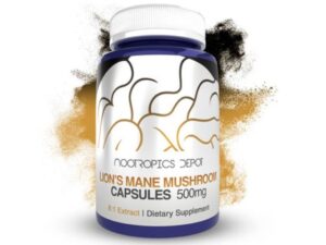 Lion'S Mane Mushroom 8:1 Dual Extract Capsules | 500mg by Nootropics Depot