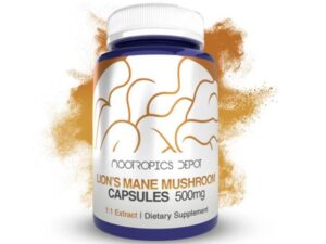 Lion'S Mane Mushroom Extract Capsules | 500mg by Nootropics Depot