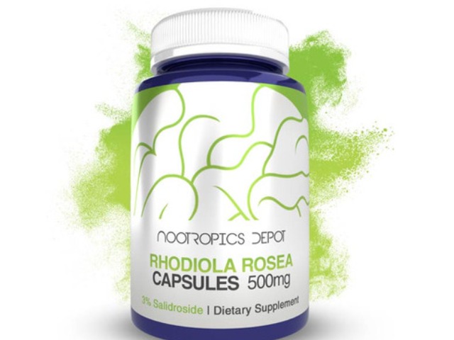 Rhodiola Rosea Capsules | 500mg | 3% Salidroside by Nootropics Depot